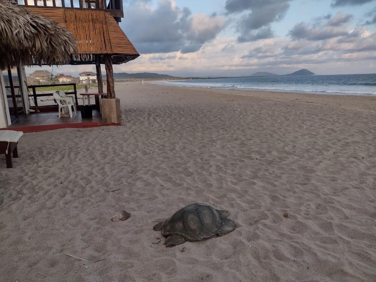 Cabanas Alta Mar Guayabas Eksteriør billede